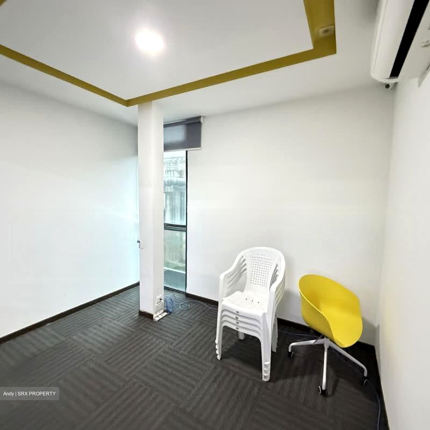 Primax (D19), Factory #539363001